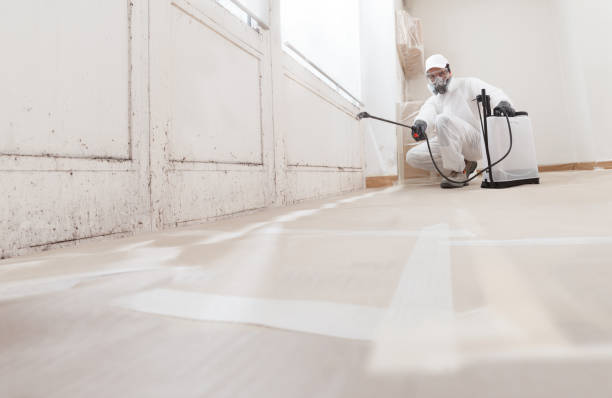 24/7 Emergency Crawl Space Mold Removal experts in Washington Crossing, PA