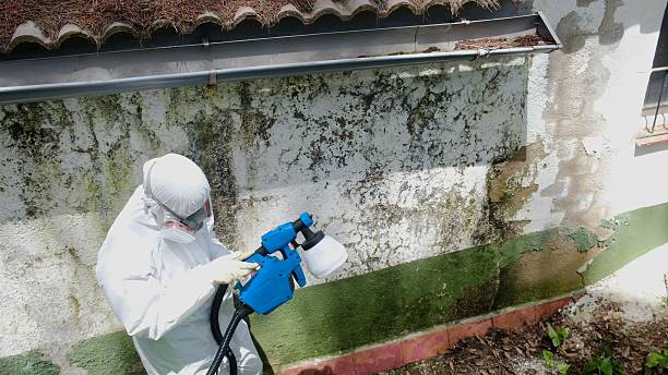 Trusted Bathroom Mold Removal service in Washington Crossing, PA - Cheap Mold Removal